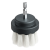 TWISTER50_LEATHER.png